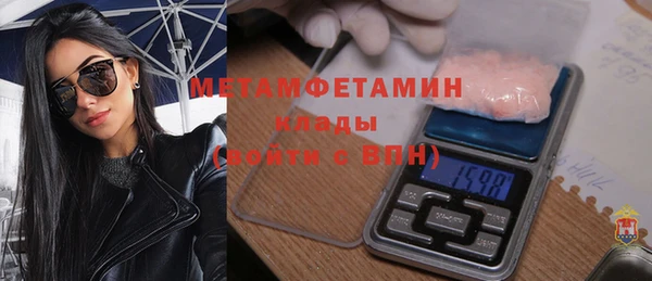 шишки Инсар