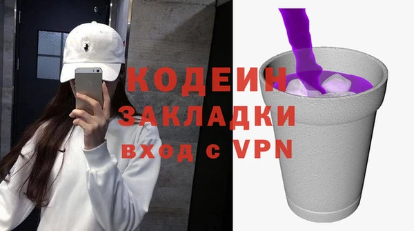 шишки Инсар