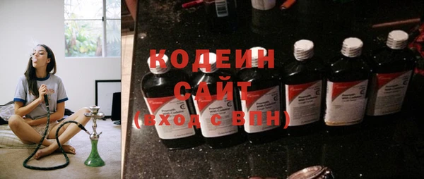 шишки Инсар