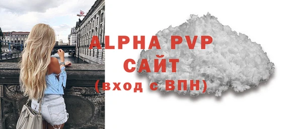 шишки Инсар