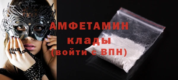 шишки Инсар