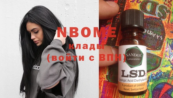 шишки Инсар