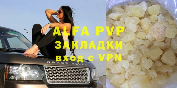 шишки Инсар