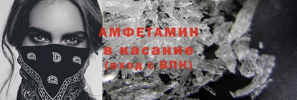 шишки Инсар